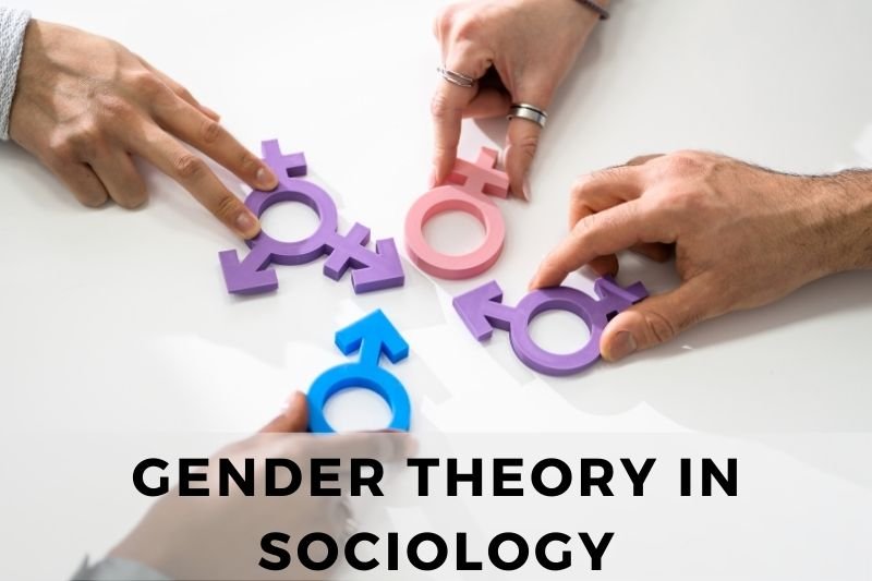 Gender Theory in Sociology