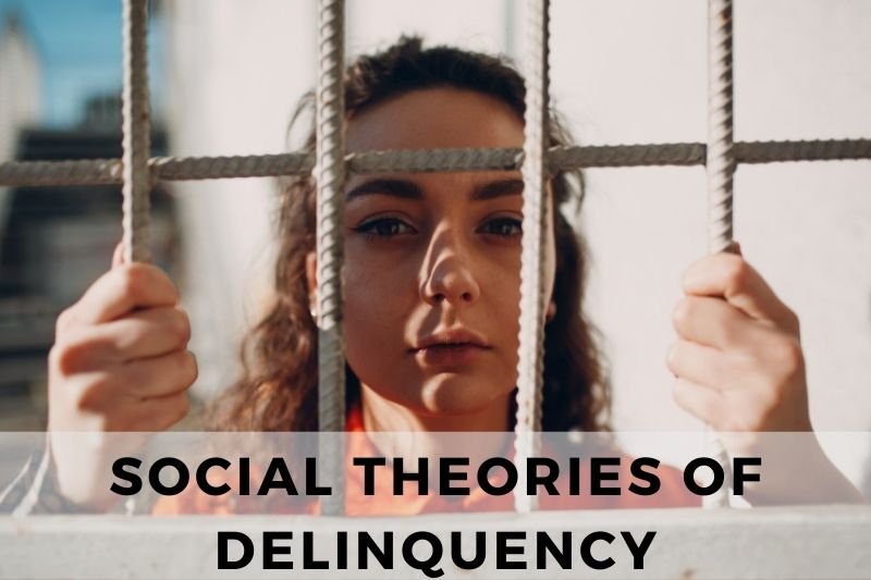 Social Theories of Delinquency