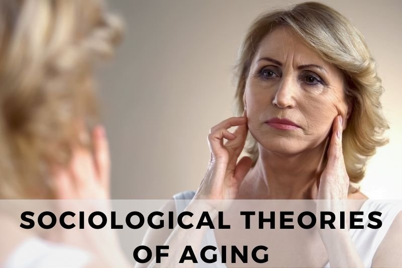 Sociological Theories of Aging