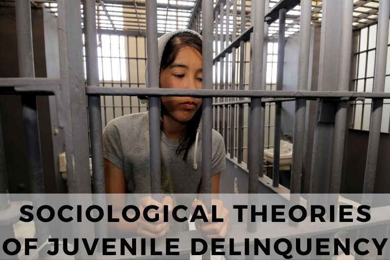 Sociological Theories of Juvenile Delinquency