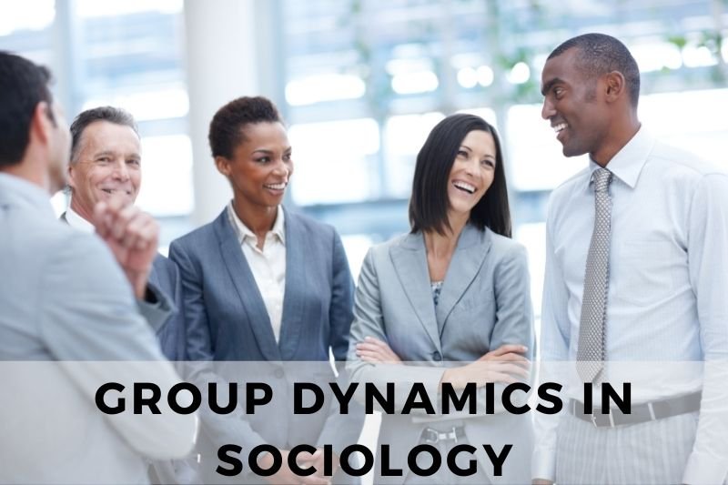 Sociology Group Dynamics