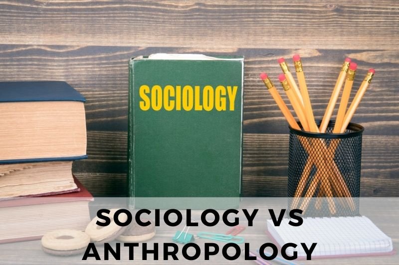 Sociology vs Anthropology