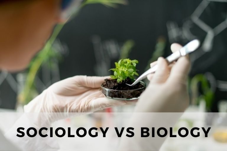 Sociology vs Biology: A Comparative Study